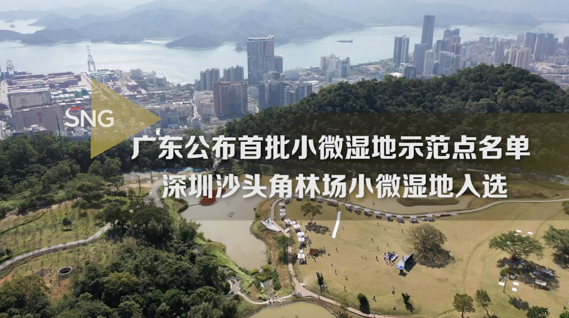 沙头角林场入选广东首批小微湿地示范点