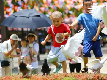 “双节效应”热度不减 深圳景区客流节节攀升