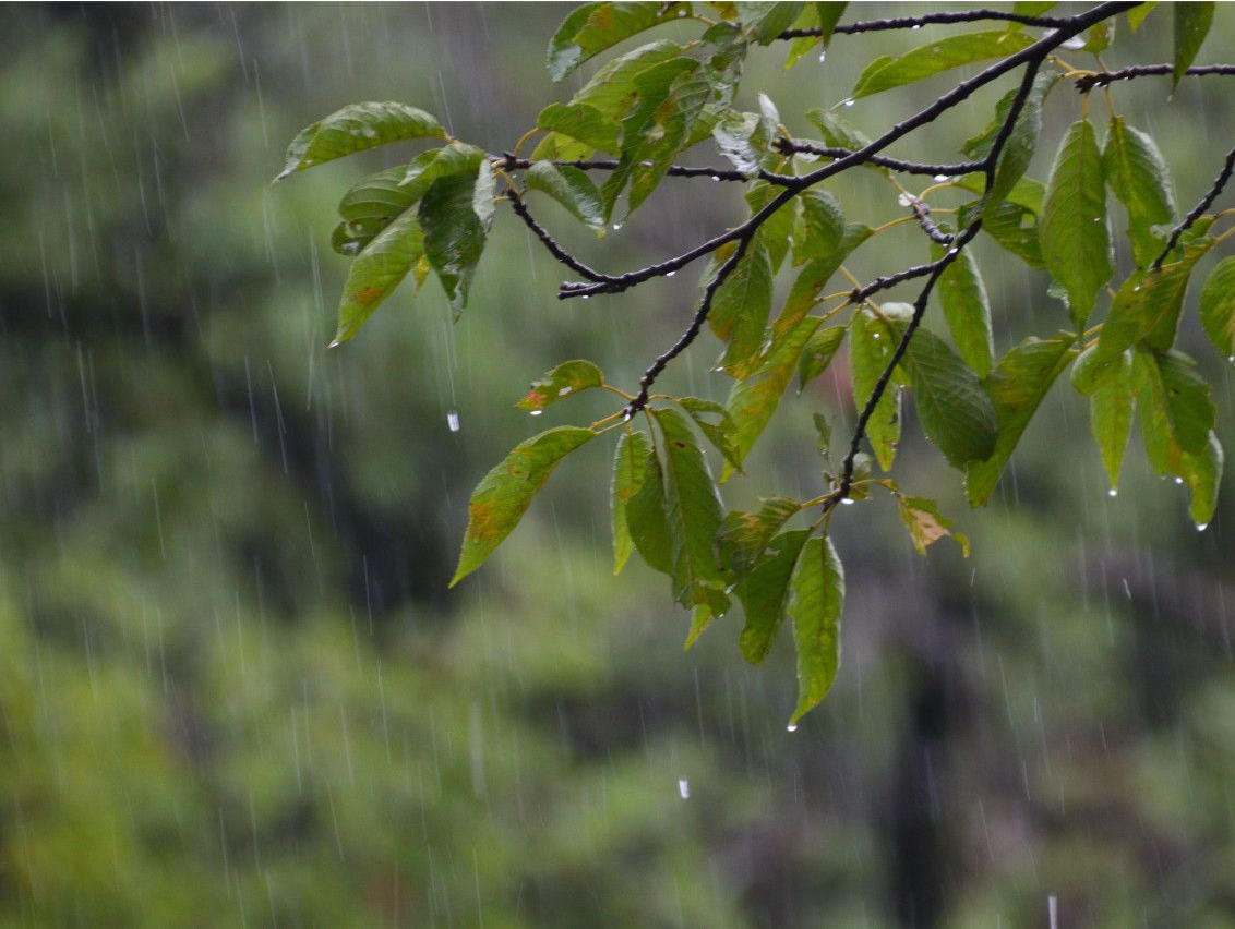 干燥转多雨、新一股冷空气要来！深圳接下来天气→