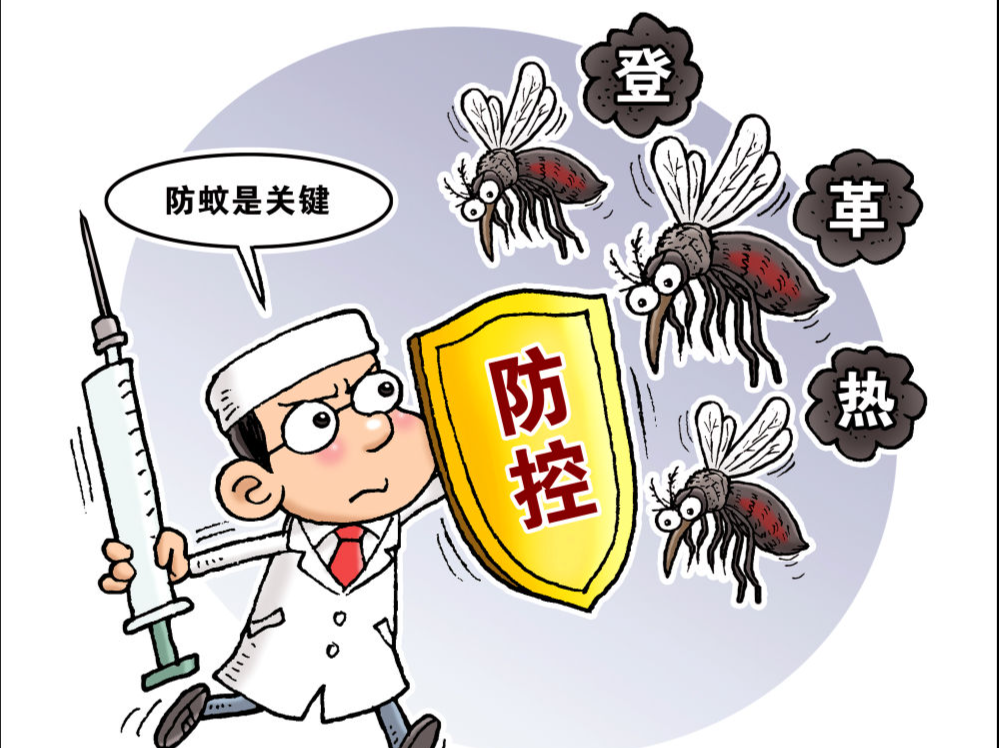 我国部分省份现登革热散发病例，专家提示防蚊虫孳生
