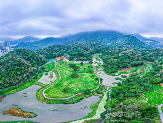 秋至梧桐山 绝美“桃花源”  恩上湿地入选广东首批小微湿地示范点