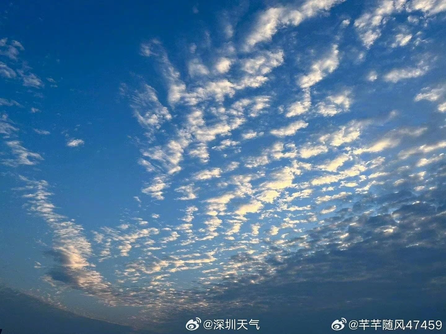 两股冷空气即将到来！广东一地已率先入秋，深圳本周多云伴雨，积极准备着……
