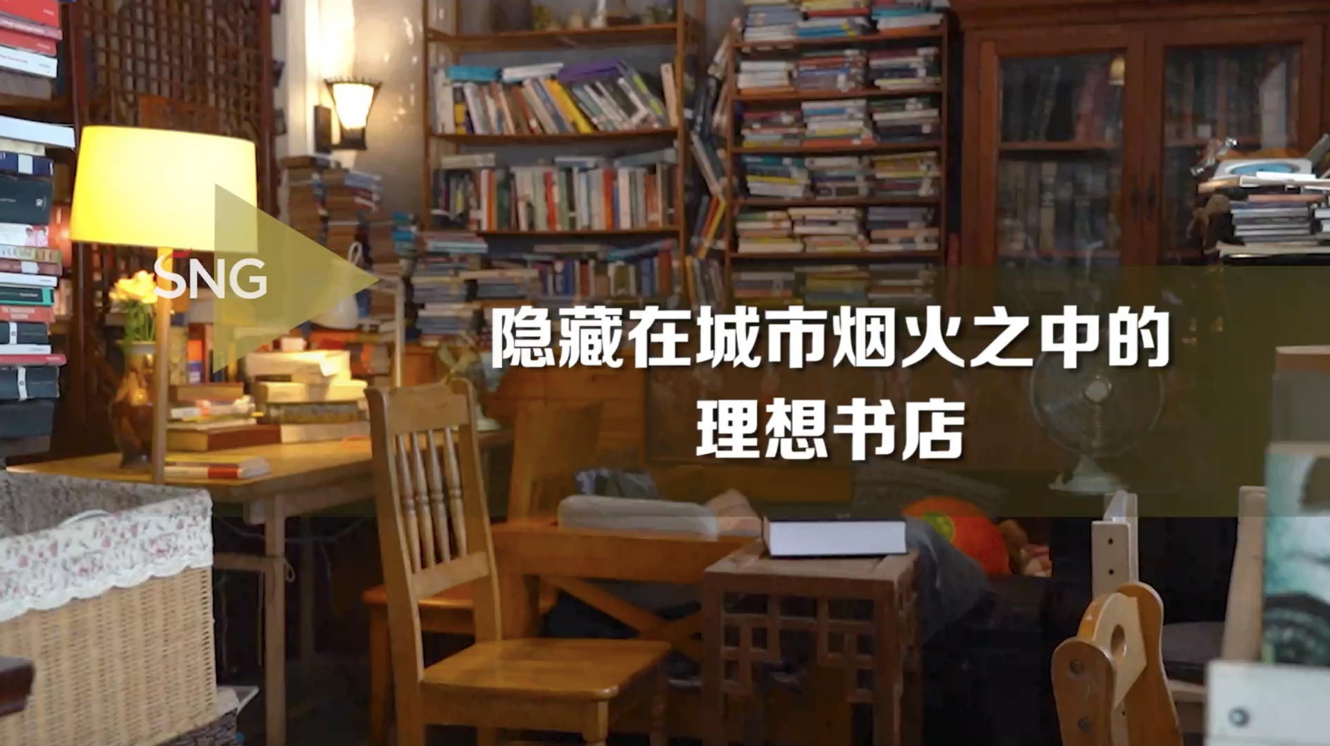 深圳蛇口有一家隐藏在城市烟火之中的“理想书店”