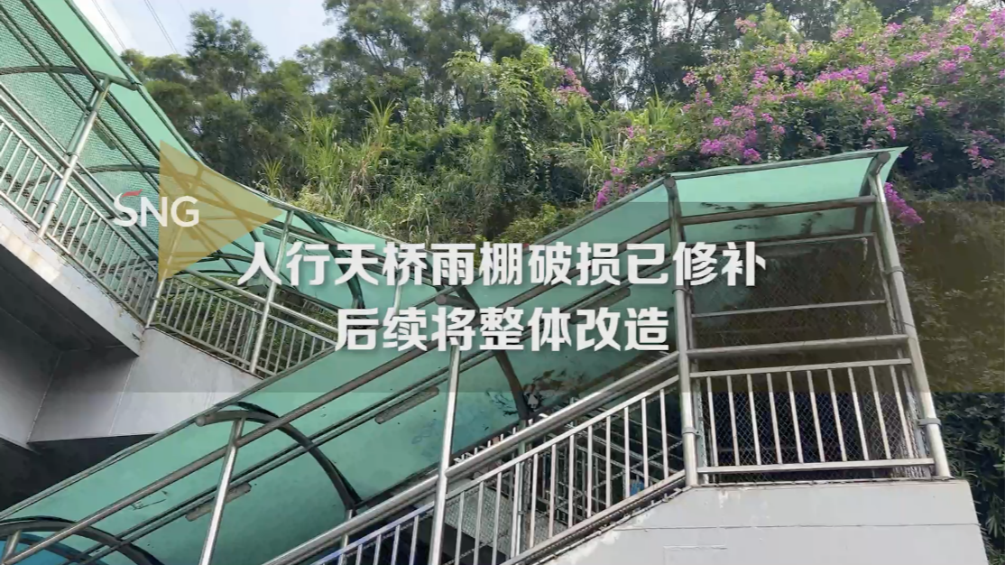 市民反映罗湖一人行天桥雨棚破损，后续来了！