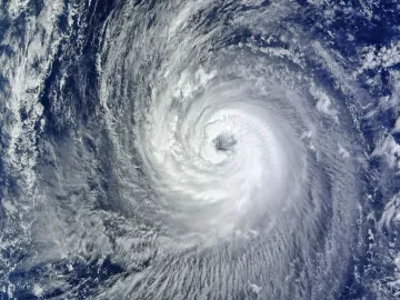 台风“小犬”掠过！明后两天深圳将有10-11级阵风和持续性降雨