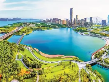 各区经济观察｜新型工业化 南山步履急