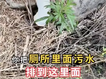 山西知名5A景区公厕粪便排入河中？官方回应→