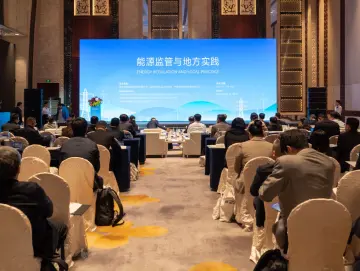 ​中外能源专家学者共商能源市场建设大计 深圳助力能源绿色转型