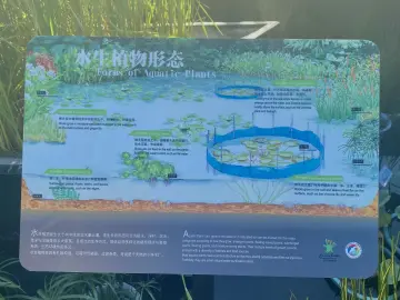 深圳“植物园进校园”活动拉开帷幕，首个示范学校揭牌