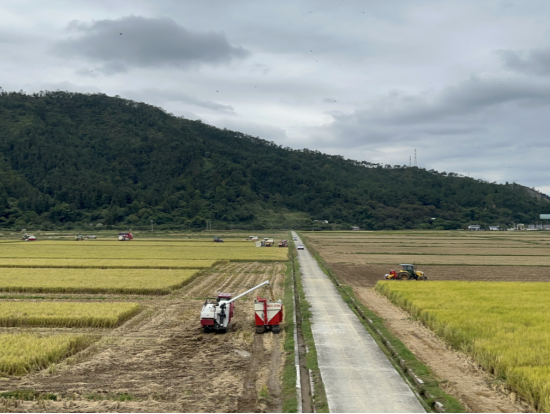 深河共建 圳在帮扶 | “深圳农场”落户东源柳城 万绿智慧航天稻现场观摩会同期召开  