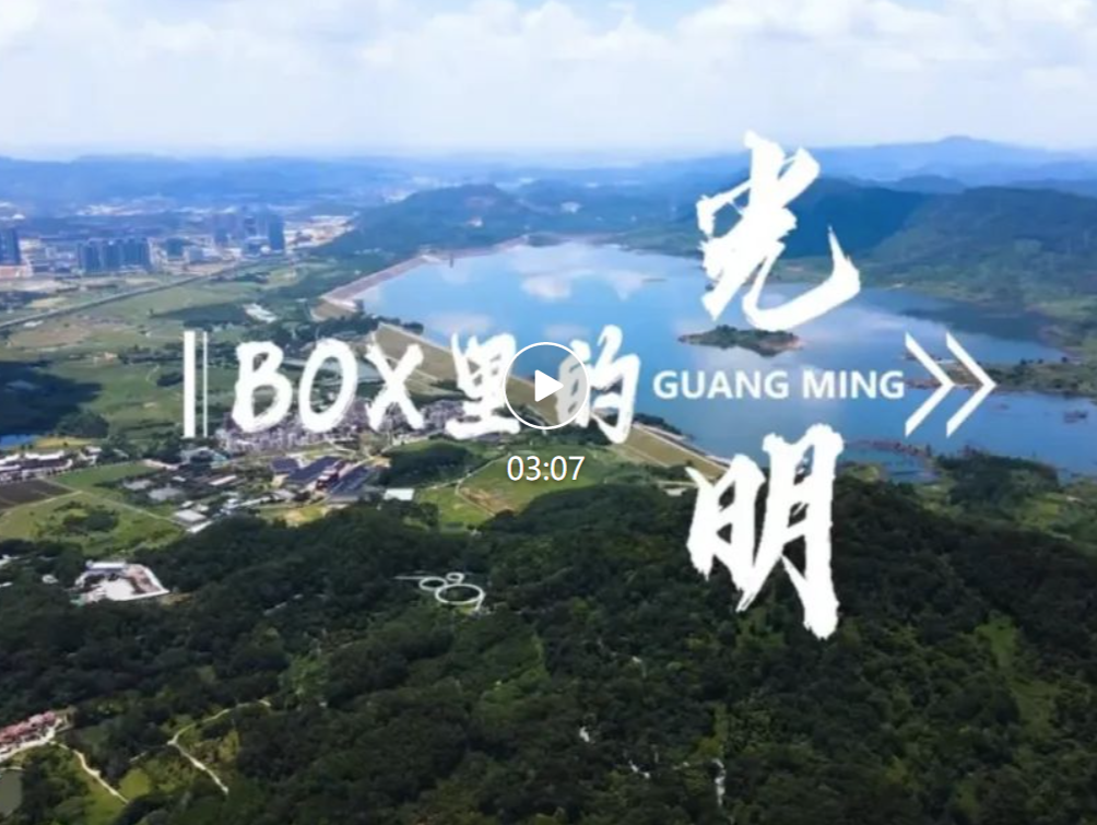虹桥公园首部双语自然生态纪录片《一切万物 皆放光明》发布