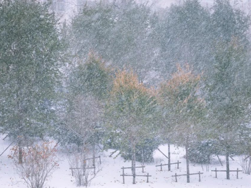 暴雪蓝色预警：辽宁吉林黑龙江部分地区有大到暴雪