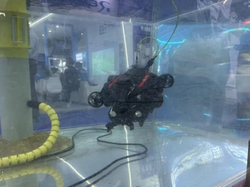 能潜水、会爬楼、高颜值，高交会上这批机器人一次看过瘾