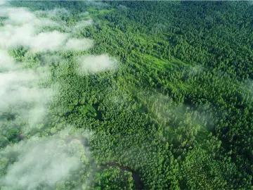 新思想引领新时代｜从三个维度理解生态文明建设的绿色底蕴