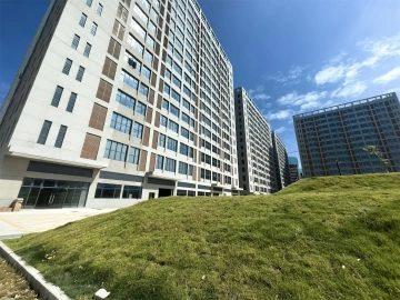 让科技之光与生态之美纵横交织！玉塘街道打造“绿岛”园区样板
