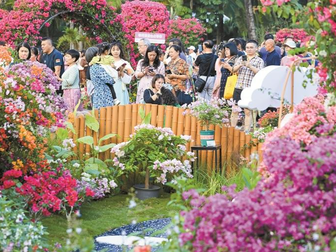美食节、音乐节、文化旅游节、咖啡节……深圳“造节力”带来消费新动力