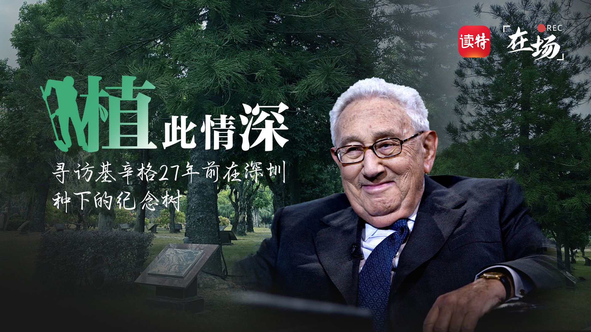 寻访基辛格27年前在深圳种下的纪念树