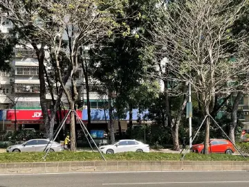 车主请注意！簕杜鹃花展期间  交警严管公园周边道路