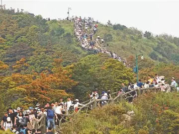 全民运动热遍全城 专业赛事轮番登场……打造国际体育名城，深圳正逢其时