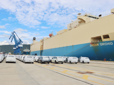 创新高！小漠国际物流港1-10月货物吞吐量突破100万吨