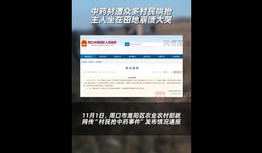 河南周口通报网传“抢中药事件”：附近村民误认为收割完成
