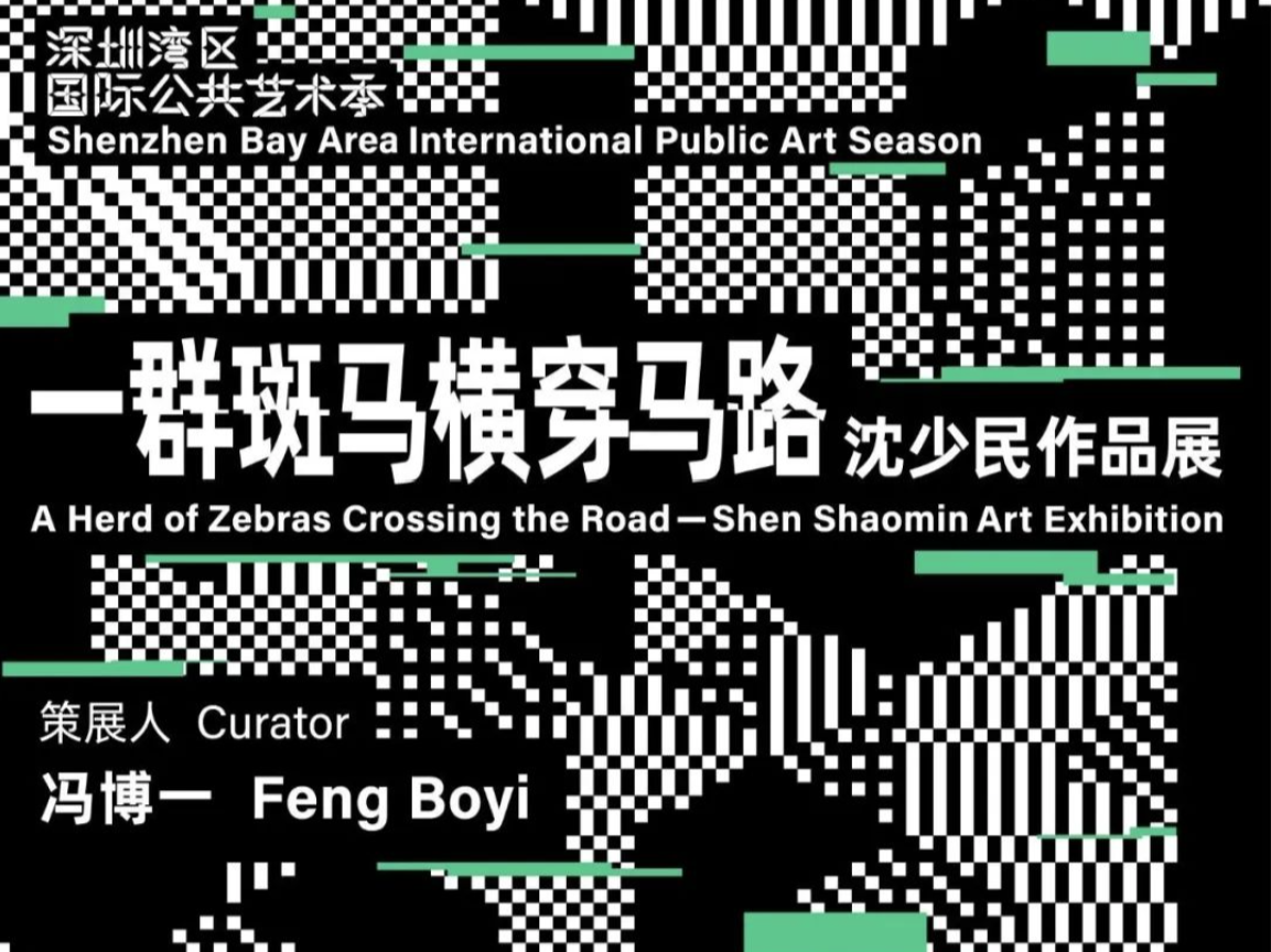 打卡安排！一群斑马横穿马路
