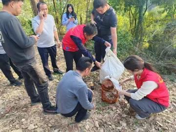 马田街道石家社区成功解救3只国家二级保护动物