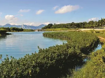 日本《半月文摘》新闻社社长梁钟文：深企是讲好中国故事的亮点 | 五大洲媒体看深圳