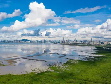 2022年度深圳生态文明建设考核结果出炉：五区六部门四企业获评优秀