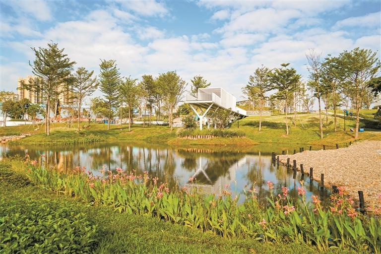 宝安定岗湖湿地公园捧回“最受市民欢迎奖”
