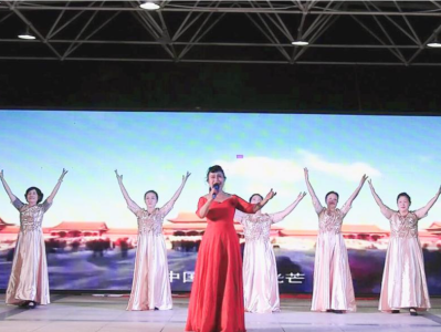 “2023年度深圳市公益文化进社区（进万家）下基层活动”在大鹏新区举办