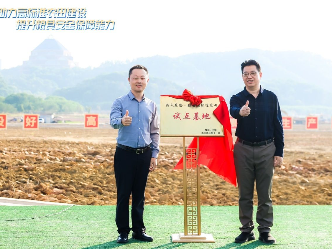 深圳推出政策性农险新险种试点，全方位保障粮食安全