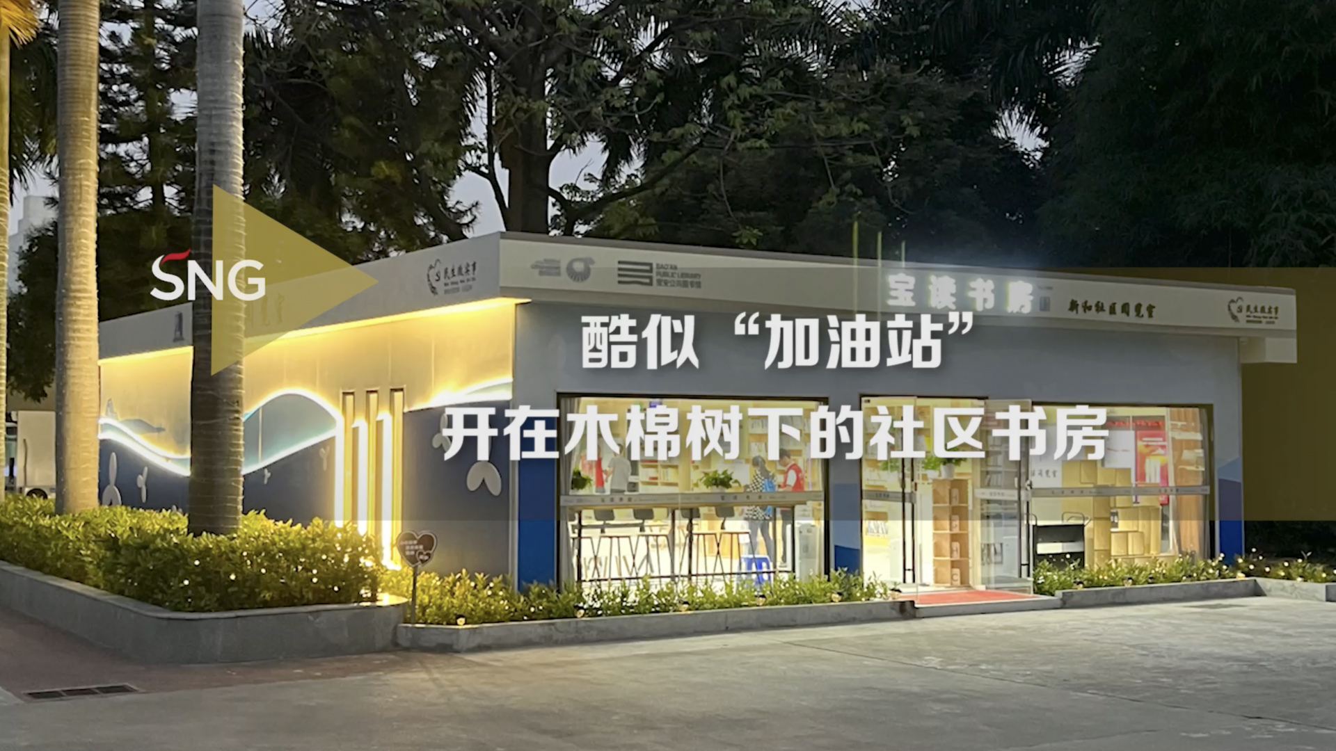 深圳宝安区有家阅读书房，竟然“藏”了一棵木棉树