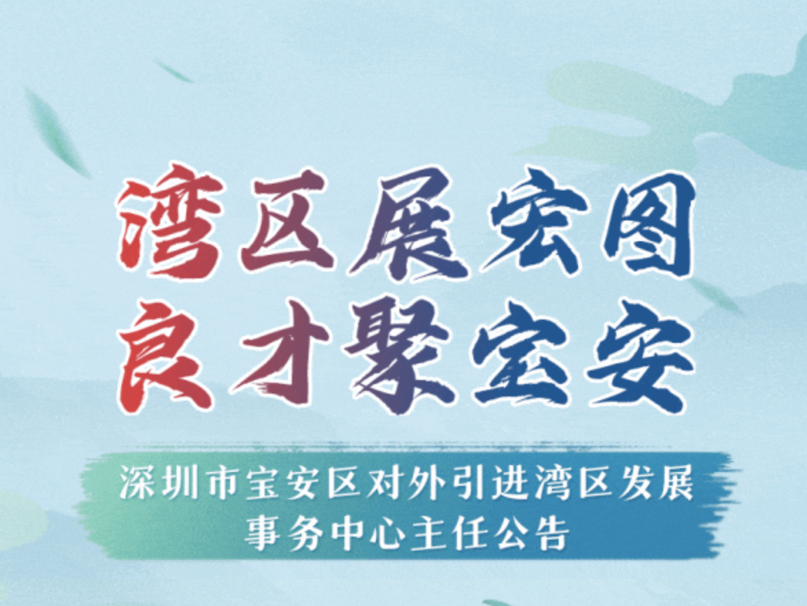 求贤令！深圳市宝安区对外引进湾区发展事务中心主任