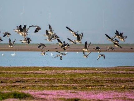我国最大淡水湖鄱阳湖水位持续下降，已不足1000平方公里