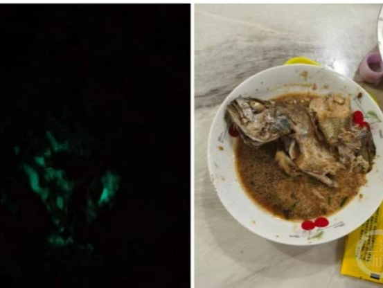 大妈买海鱼红烧后半夜发绿光，啥情况？专家提醒→