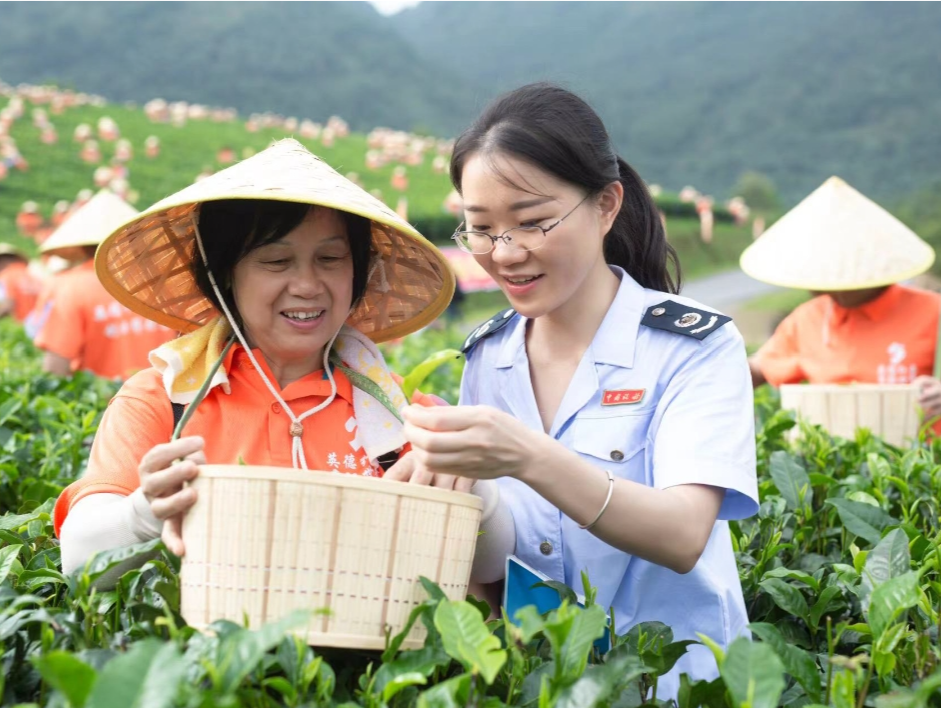税惠守护“家乡味”，广东现代农业与食品产业焕发更强“食力”
