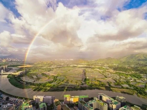 “梦都”欢迎你！——深圳计划招录142名选调生