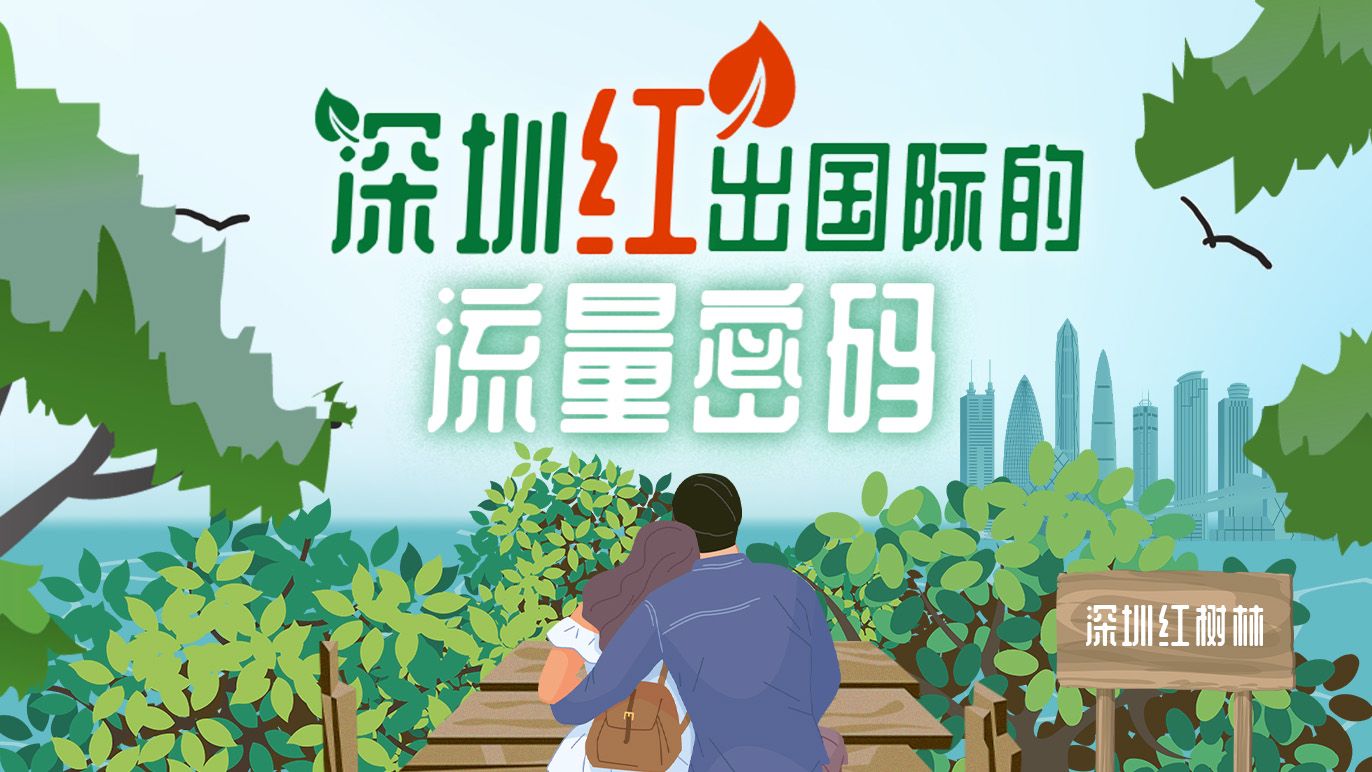红树带火一座城，深圳的“流量密码”是什么?  