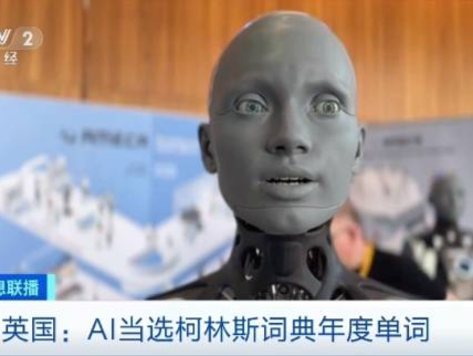 AI当选柯林斯词典年度单词，马斯克：人工智能需要“第三方裁判”