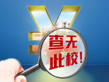 巨额公款去向不明，虚设公立学校事件当提级处置