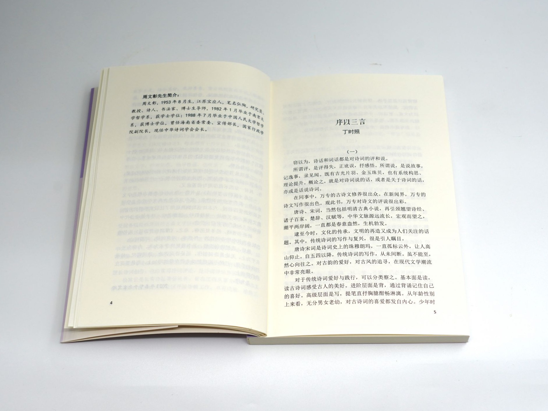 序以三言——《今剩叹诗话》序