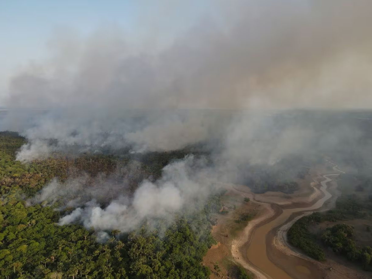 巴西将投入2.05亿美元恢复亚马逊雨林