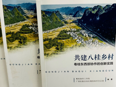 《共建八桂乡村——粤桂东西部协作的创新实践》新书出版