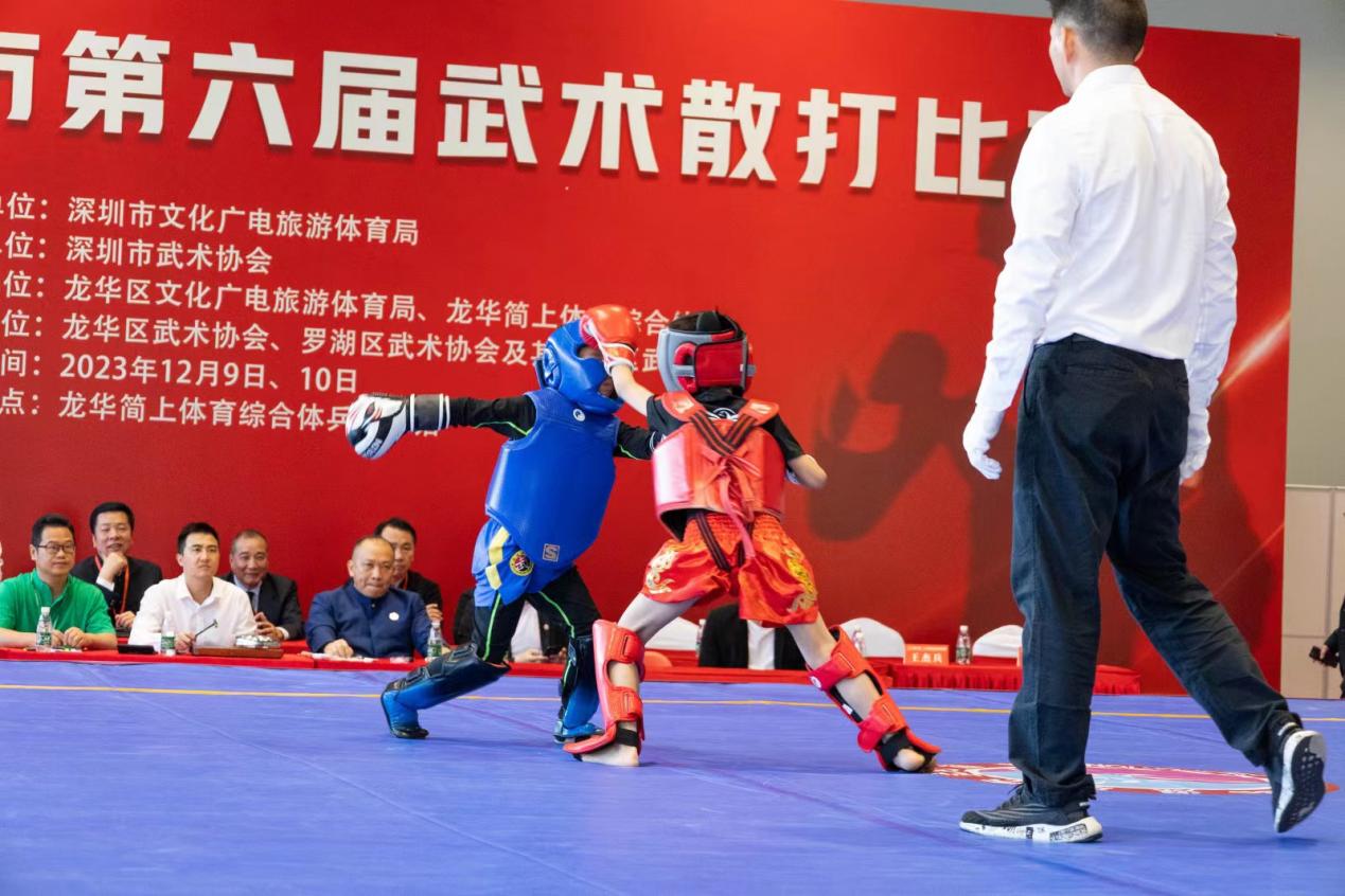 深圳市第二十五届传统武术精英赛在龙华开幕