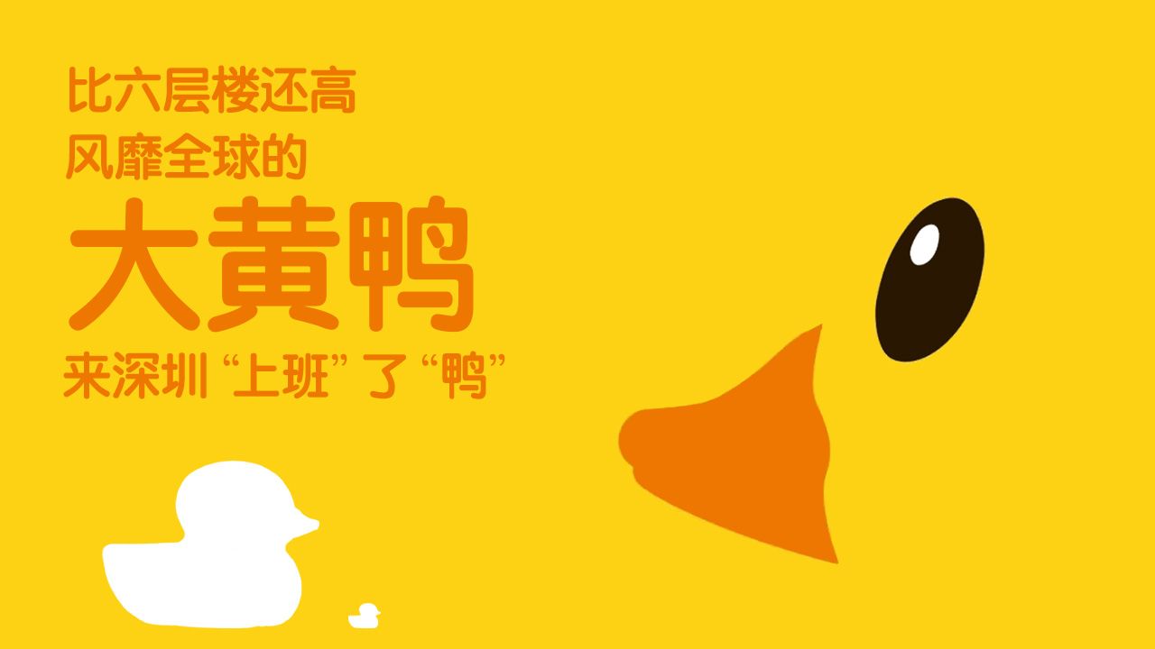 比六层楼还高，风靡全球的大黄鸭来深圳“上班”了“鸭”