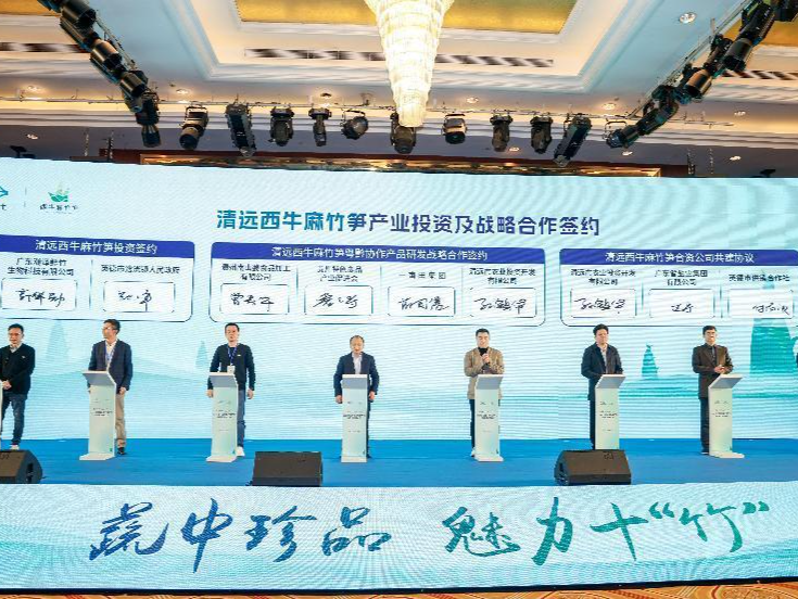 多项行业标准出炉！2023清远西牛麻竹笋产业高质量发展大会召开