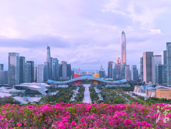 深圳IMAGE｜当MBTI遇上深圳，市民中心、莲花山公园......它们是e还是i？