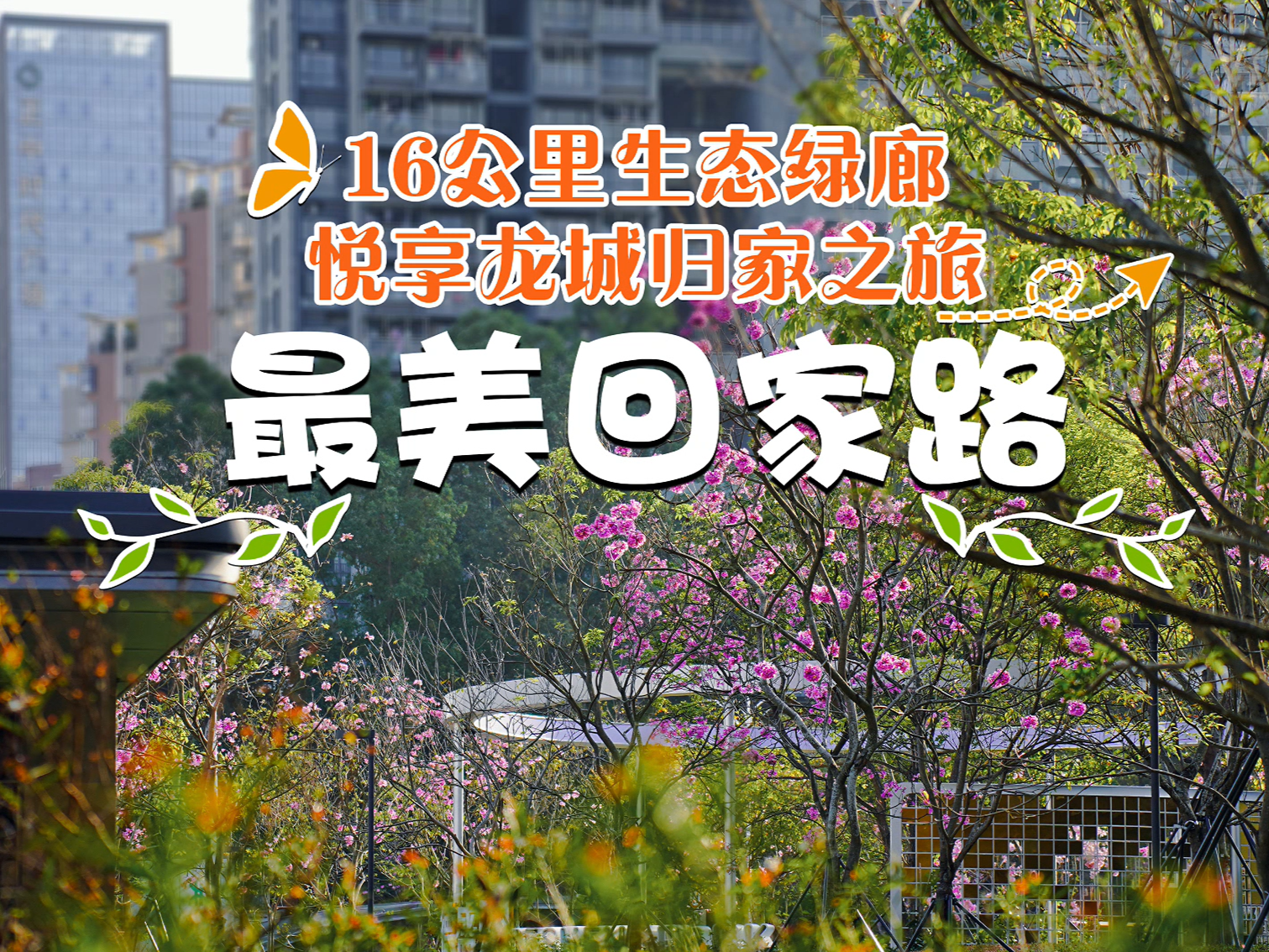 视频丨太美了！龙岗这条最美回家路，逛起！