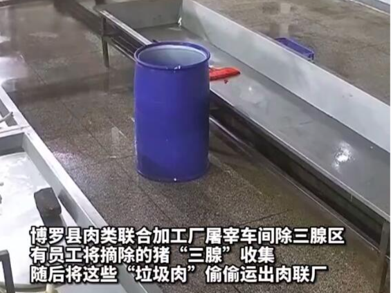 “三腺肉”流向早餐店做云吞馅，惠州博罗一企业被曝光